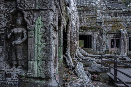 Téléchargez les photos : Un beau cliché du temple Ta Prohm au complexe du temple Angkor Wat au Cambodge - en image libre de droit