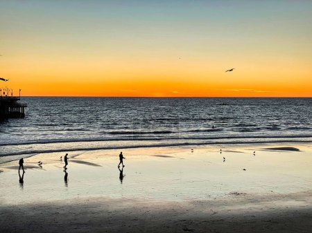Foto de Las siluetas de personas y pájaros en la playa de arena contra el cielo del atardecer - Imagen libre de derechos