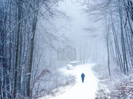 Téléchargez les photos : Un homme marchant sur un sentier dans les bois à Wassergspreng, Autriche. - en image libre de droit