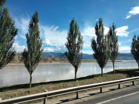 Photo for A line pine trees on the side of a highway road by a lake water under blue cloudy sky - Royalty Free Image