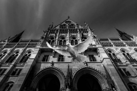 Photo for A grayscale shot of a pigeon flying in front of the Parlamento Budapest - Up in the air. - Royalty Free Image