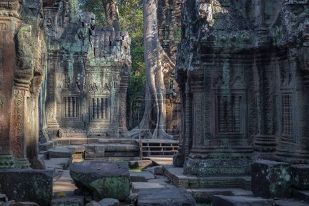 Foto de Una hermosa toma del Templo Ta Prohm en el complejo de templos Angkor Wat en Camboya - Imagen libre de derechos