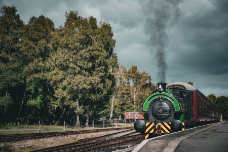 Photo for The steam locomotive driving over the railway tracks surrounded by trees during the daytime - Royalty Free Image