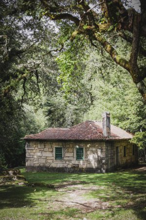 Téléchargez les photos : Une belle photo et une vieille maison abandonnée dans une forêt entourée d'arbres d'automne colorés - en image libre de droit