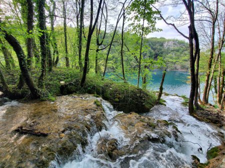 Foto de Un paisaje del Parque Nacional de los Lagos de Plitvice cubierto de cascadas y vegetación en Croacia - Imagen libre de derechos