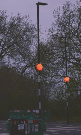 Téléchargez les photos : Un plan vertical de lampadaires lumineux dans un parc sombre à Londres, Royaume-Uni - en image libre de droit