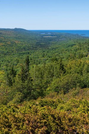 Photo for A vertical shot of a green landscape on the coast of river on a sunny day in Keweenaw Peninsula, Michigan - Royalty Free Image
