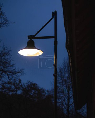 Foto de Un plano vertical de una farola iluminada con siluetas de árboles en el fondo - Imagen libre de derechos
