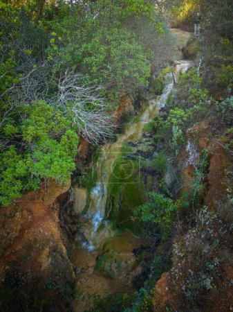 Foto de Una vista aérea vertical de una hermosa cascada que corre en un bosque verde - Imagen libre de derechos