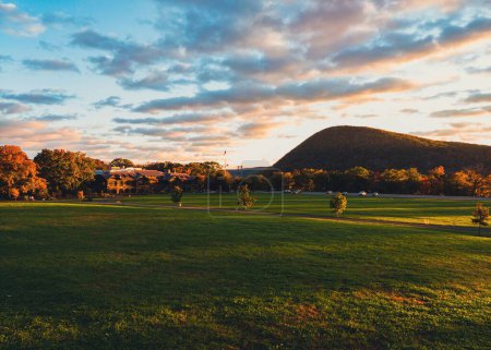 Téléchargez les photos : Vue horizontale esthétique d'un parc verdoyant avec des arbres et une colline à l'horizon lors d'un lever de soleil - en image libre de droit