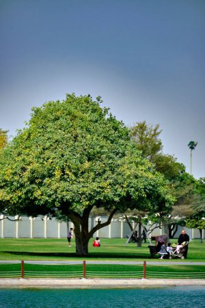 Photo for A vertical shot of trees at Aspire Park, Doha, Qatar - Royalty Free Image