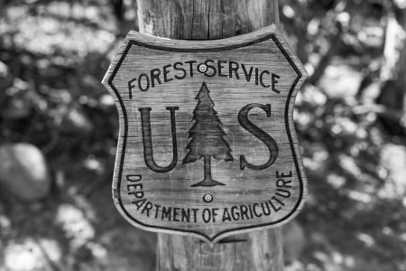 Téléchargez les photos : Une échelle de gris du ministère de l'Agriculture des États-Unis signe sur un tronc d'arbre - en image libre de droit