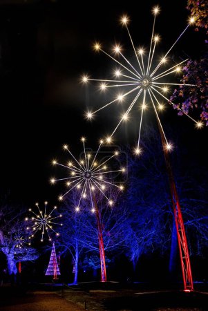 Téléchargez les photos : Un plan vertical des installations de feux d'artifice éclairés à Blenheim Christmas Lights Trail - en image libre de droit