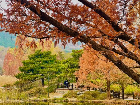 Foto de Una hermosa toma de un exuberante parque de otoño colorido en un día soleado - Imagen libre de derechos