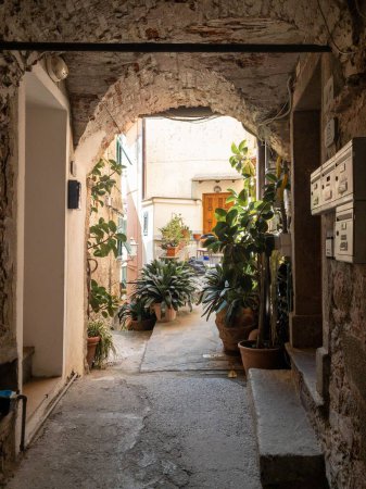 Foto de Un plano vertical de un arco que conduce a un jardín en Vernazza, Cinque Terre, Italia - Imagen libre de derechos