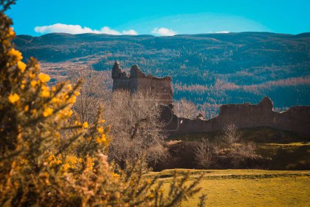 Foto de El Castillo Escocés de las Tierras Altas en un día soleado - Imagen libre de derechos