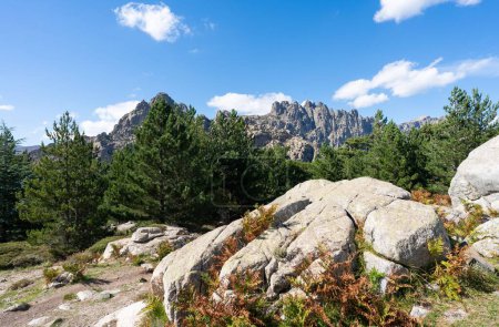 Foto de Un hermoso paisaje de colinas rocosas y follaje verde - Imagen libre de derechos