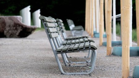 Photo for A selective focus shot of benches in a park - Royalty Free Image