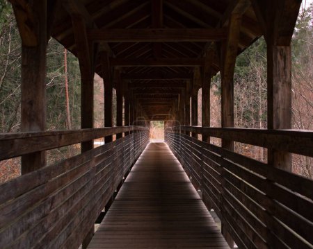 Foto de Una hermosa vista de una sombra ligera en el puente de madera en el bosque - Imagen libre de derechos