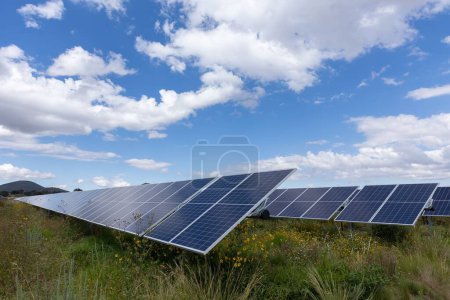 Téléchargez les photos : Les panneaux solaires, les modules photovoltaïques réfléchissant la lumière du soleil avec des nuages moelleux dans le ciel - en image libre de droit