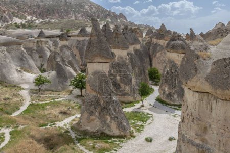 Téléchargez les photos : Une belle formation de pierre dans la vallée du Pasabag en Cappadoce, avec un ciel orageux en arrière-plan - en image libre de droit