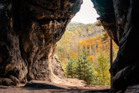 Téléchargez les photos : Une belle scène avec une forêt pleine d'arbres colorés de l'intérieur de la grotte dans les montagnes de la Suisse saxonne, Allemagne - en image libre de droit