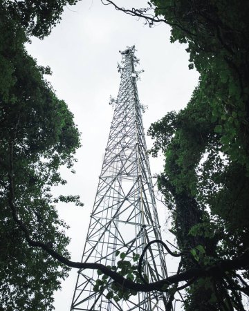 Foto de Un disparo vertical de una torre de transmisión vista a través de los árboles - Imagen libre de derechos