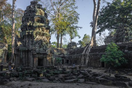 Photo for A beautiful shot of the Ta Prohm Temple at Angkor Wat temple complex in Cambodia - Royalty Free Image