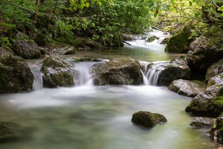 Téléchargez les photos : Une longue exposition d'une rivière rocheuse qui coule entourée de végétation forestière - en image libre de droit