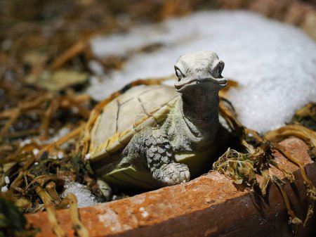 Téléchargez les photos : Gros plan d'une figure de tortue sur un pot de fleurs - en image libre de droit
