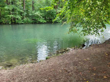 Téléchargez les photos : Un terrain avec des feuilles d'automne et des arbres au bord d'un lac réfléchissant dans le parc - en image libre de droit