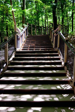 Foto de Una escalera vertical de madera, escaleras que atraviesan un hermoso parque con follaje verde - Imagen libre de derechos