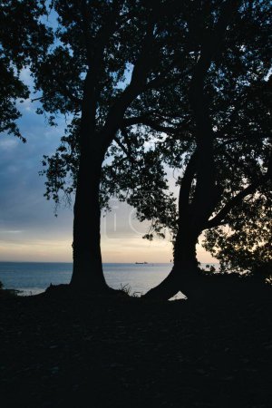 Foto de Un plano vertical de la playa al amanecer. Isla de Wight - Imagen libre de derechos