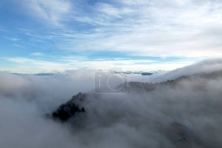 Foto de Una toma aérea de un bosque de árboles siempreverdes cubiertos de niebla bajo el cielo azul - Imagen libre de derechos