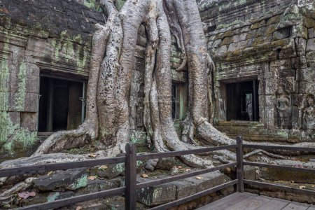 Photo for A beautiful shot of the Ta Prohm Temple at Angkor Wat temple complex in Cambodia - Royalty Free Image