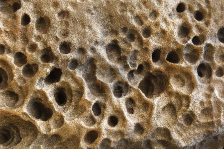 Photo for A closeup of the beach sand with crab holes in the daylight - Royalty Free Image