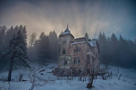 Téléchargez les photos : Vue panoramique d'une ancienne maison abandonnée sur une pente d'une montagne couverte d'arbres et de neige au coucher du soleil - en image libre de droit