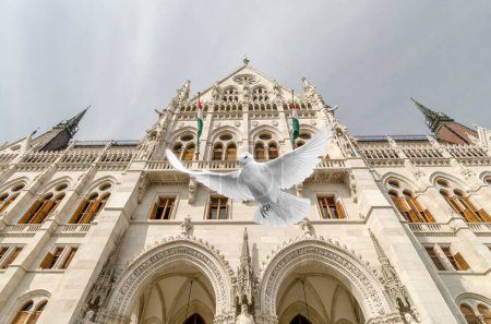 Téléchargez les photos : Le pigeon volant devant le Parlamento Budapest - En l'air. - en image libre de droit