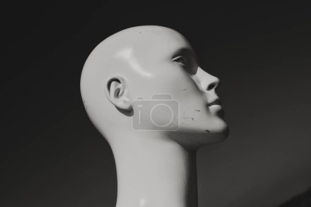 Téléchargez les photos : Une tête de mannequin blanche affichée avec le fond sombre - en image libre de droit