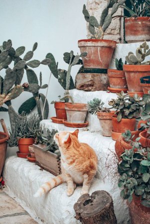 Téléchargez les photos : Plan vertical d'un chat roux entouré de plantes d'intérieur dans des pots de fleurs - en image libre de droit