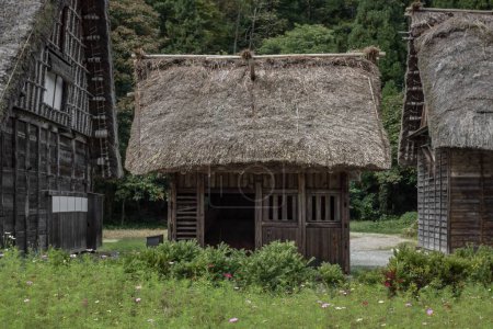 Foto de Una cabaña de madera en el histórico pueblo de Shirakawa-go y Gokayama en Japón, rodeada de hierba y otras cabañas de madera, con un bosque en el fondo - Imagen libre de derechos