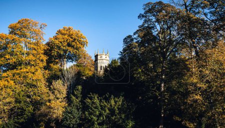 Eine landschaftliche Aufnahme der Bäume in der Nähe der Fountains Abbey in Ripon, Großbritannien