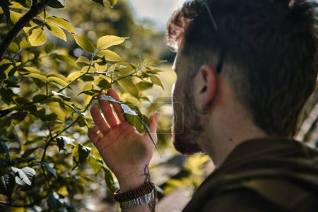 Téléchargez les photos : Un homme caucasien touchant les feuilles d'un arbre dans un parc - en image libre de droit