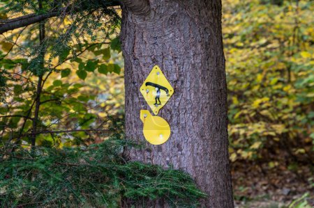 Téléchargez les photos : Une belle vue des signes jaunes sur l'arbre - en image libre de droit