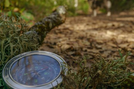 Photo for Compass hidden in the moss on the mountain with a trail in the background - Royalty Free Image