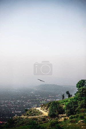 Photo for A vertical shot of a bird flying over the Kangra Valley on a sunny day in Himachal Pradesh, India - Royalty Free Image