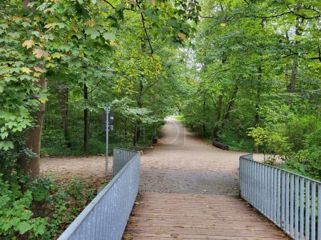Photo for A long dirt path in the park with a wooden fence and autumn trees - Royalty Free Image