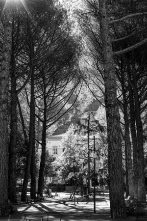 Téléchargez les photos : Une échelle de gris d'une aire de jeux entourée de grands arbres et de bancs par une journée ensoleillée à Lauria, Italie - en image libre de droit