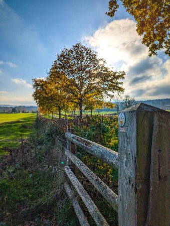 Téléchargez les photos : Une clôture en bois dans le parc avec des arbres d'automne sous le ciel bleu - en image libre de droit