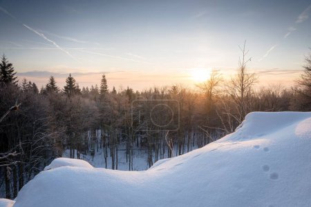 Foto de Un paisaje de un bosque nevado en un día soleado. - Imagen libre de derechos